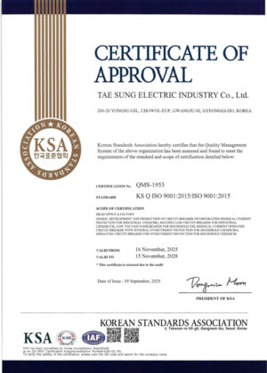 ISO 9001:2015 인증서 (영문)